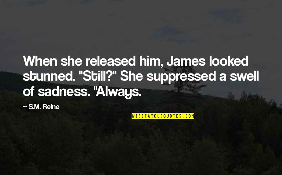 Cosmos Moon Quotes By S.M. Reine: When she released him, James looked stunned. "Still?"