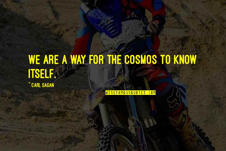 Cosmos's Quotes By Carl Sagan: We are a way for the cosmos to