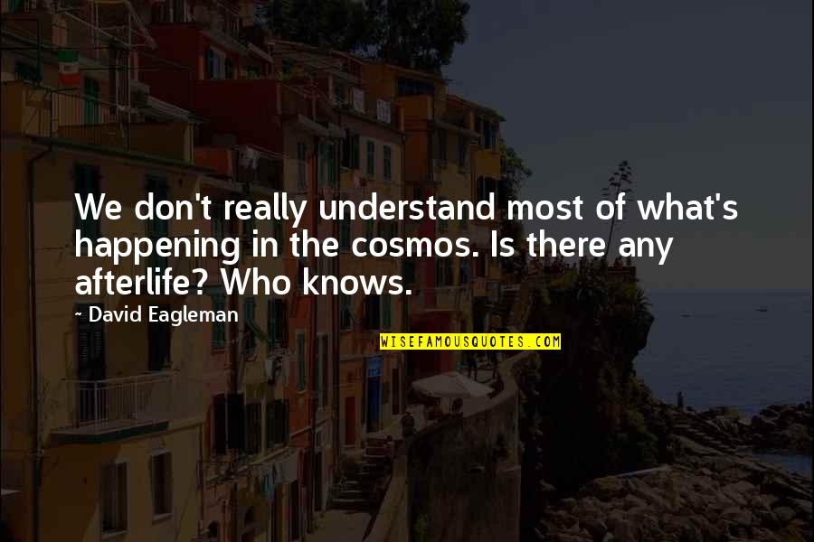Cosmos's Quotes By David Eagleman: We don't really understand most of what's happening