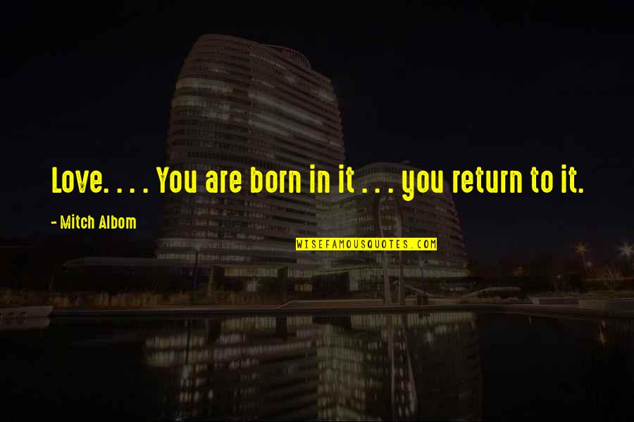 Coss Quotes By Mitch Albom: Love. . . . You are born in Coss Quotes By Mitch Albom: Love. . . . You are born in