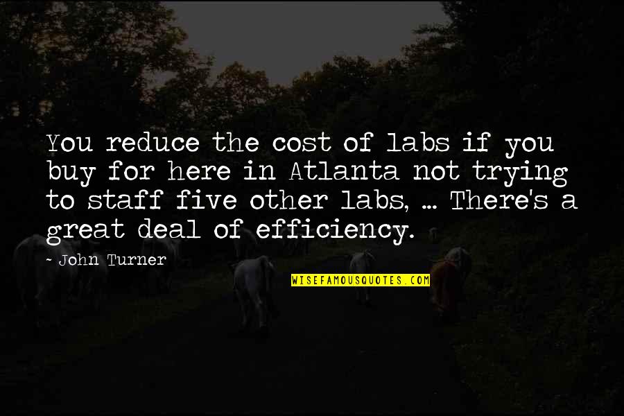 Cost Efficiency Quotes By John Turner: You reduce the cost of labs if you