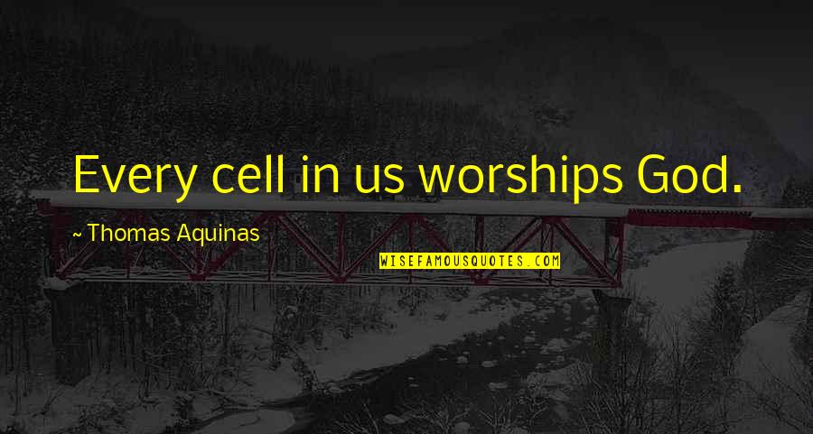 Cost Saving Quotes By Thomas Aquinas: Every cell in us worships God.