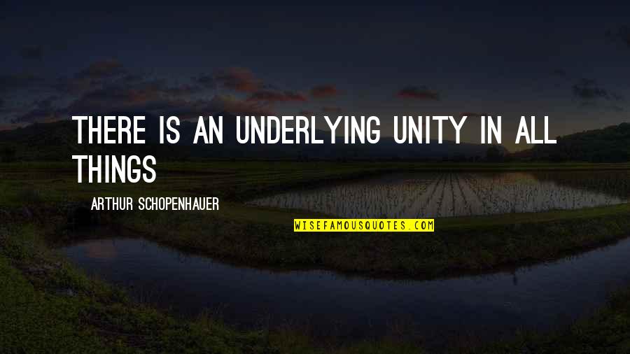 Costacurta Moglie Quotes By Arthur Schopenhauer: There is an underlying unity in all things