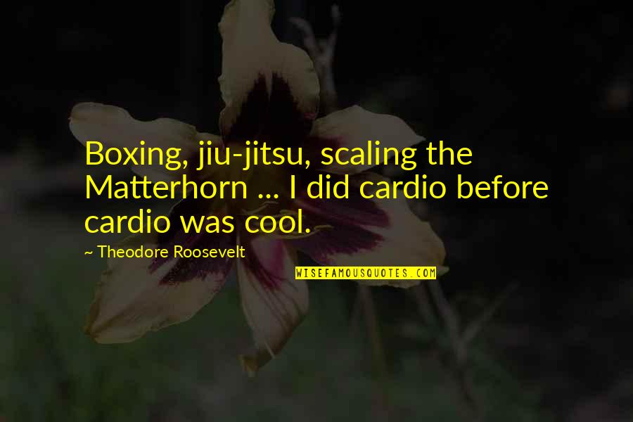 Costless Tarps Quotes By Theodore Roosevelt: Boxing, jiu-jitsu, scaling the Matterhorn ... I did