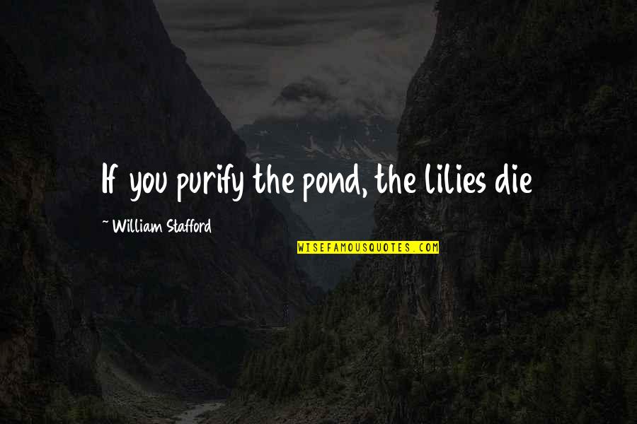 Costopoulos Mark Quotes By William Stafford: If you purify the pond, the lilies die Costopoulos Mark Quotes By William Stafford: If you purify the pond, the lilies die