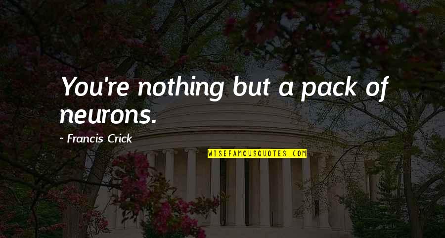 Costurera Animada Quotes By Francis Crick: You're nothing but a pack of neurons. Costurera Animada Quotes By Francis Crick: You're nothing but a pack of neurons.