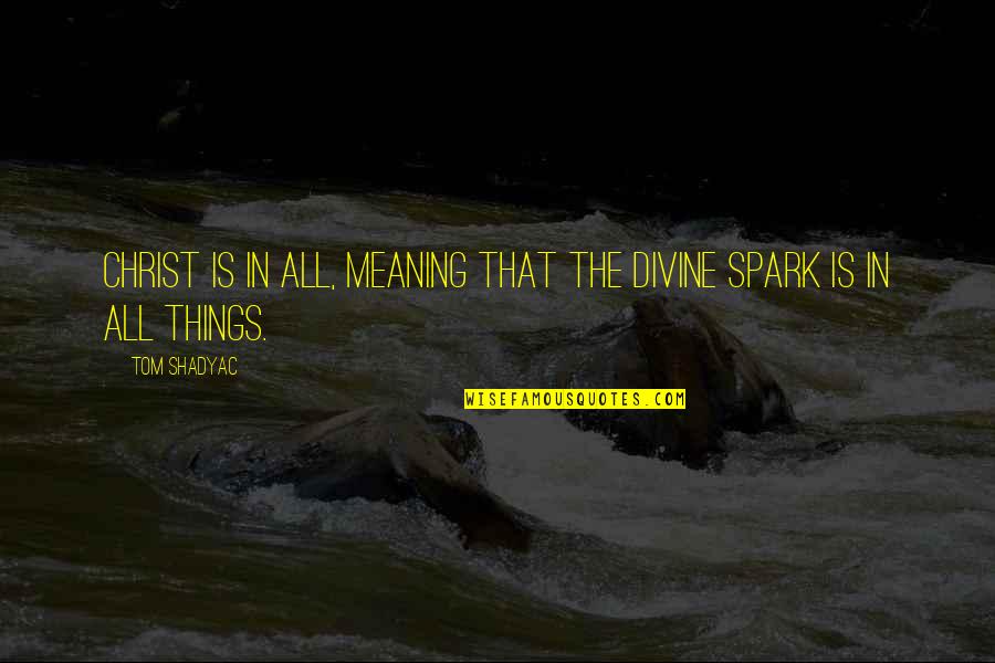 Costurero Hecho Quotes By Tom Shadyac: Christ is in all, meaning that the divine
