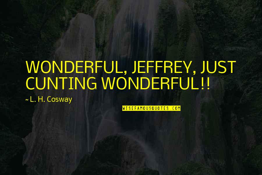 Cosway Quotes By L. H. Cosway: WONDERFUL, JEFFREY, JUST CUNTING WONDERFUL!!