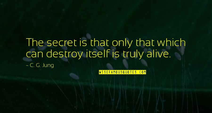 Cotchery Dds Quotes By C. G. Jung: The secret is that only that which can