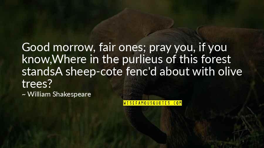 Cote D'ivoire Quotes By William Shakespeare: Good morrow, fair ones; pray you, if you