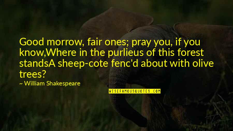 Cote Quotes By William Shakespeare: Good morrow, fair ones; pray you, if you Cote Quotes By William Shakespeare: Good morrow, fair ones; pray you, if you