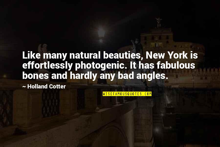 Cotter Quotes By Holland Cotter: Like many natural beauties, New York is effortlessly