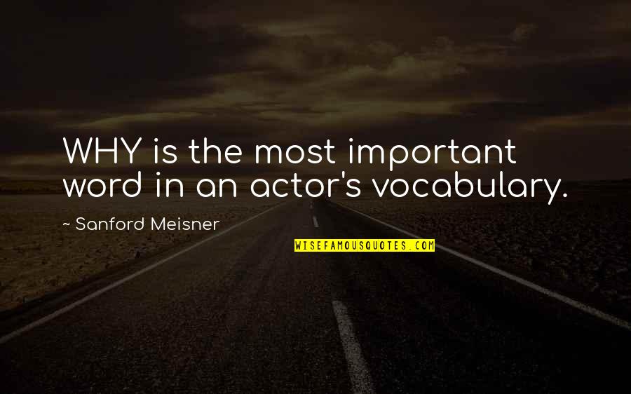 Cottontails Birmingham Quotes By Sanford Meisner: WHY is the most important word in an Cottontails Birmingham Quotes By Sanford Meisner: WHY is the most important word in an