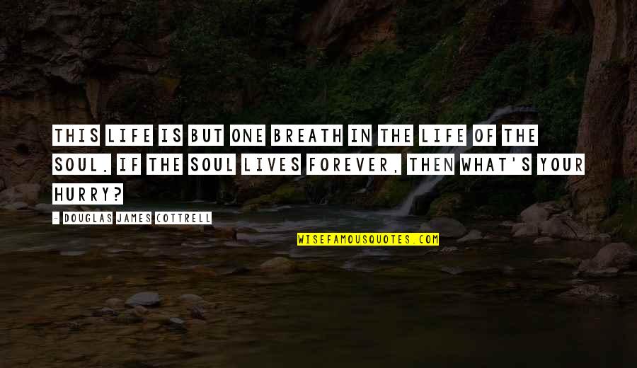 Cottrell Quotes By Douglas James Cottrell: This life is but one breath in the Cottrell Quotes By Douglas James Cottrell: This life is but one breath in the