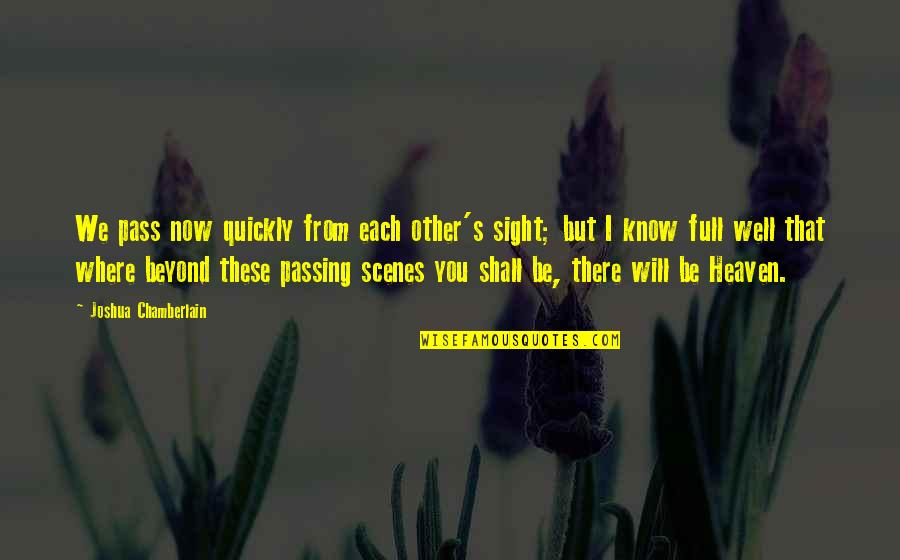 Couch Potatoes Quotes By Joshua Chamberlain: We pass now quickly from each other's sight;