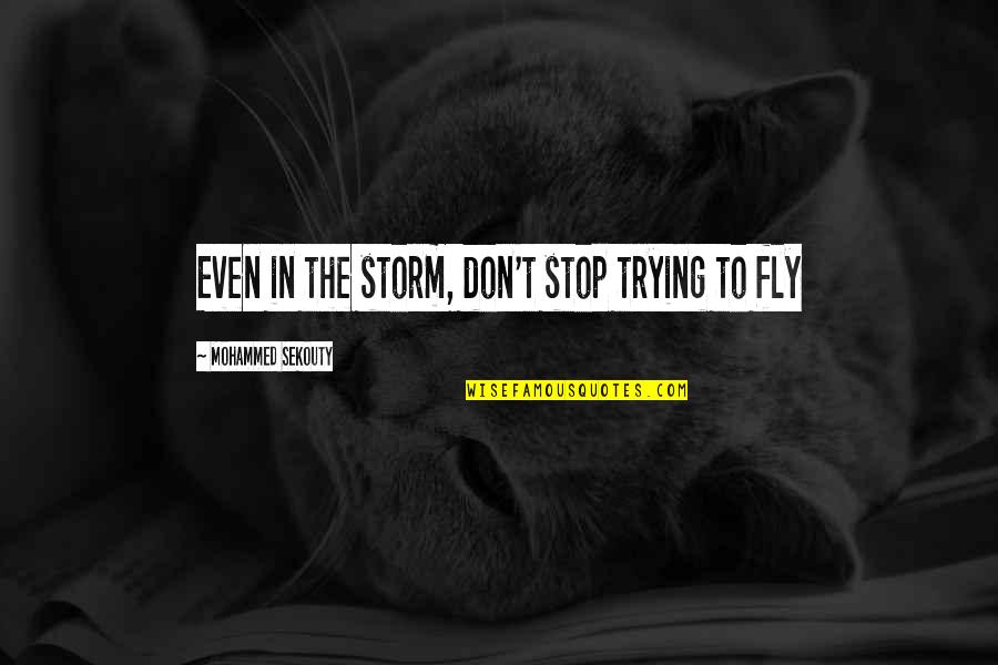 Couffin En Quotes By Mohammed Sekouty: Even in the storm, don't stop trying to