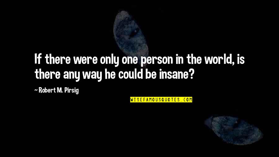 Could Be The One Quotes By Robert M. Pirsig: If there were only one person in the