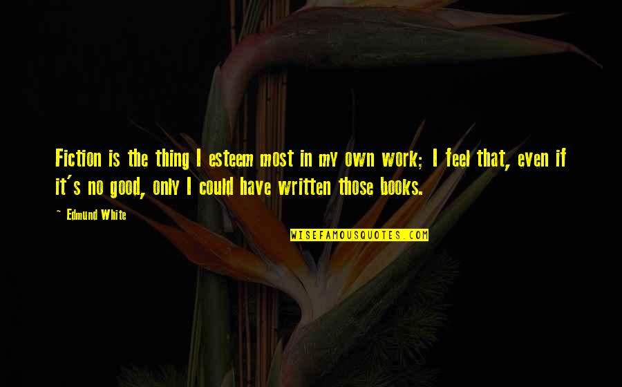 Could Feel Quotes By Edmund White: Fiction is the thing I esteem most in Could Feel Quotes By Edmund White: Fiction is the thing I esteem most in