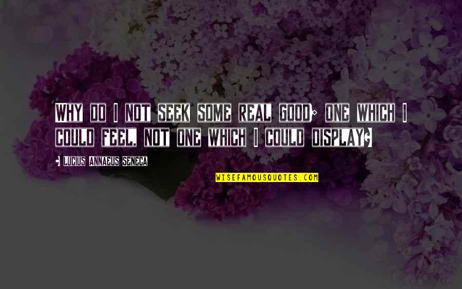 Could Feel Quotes By Lucius Annaeus Seneca: Why do I not seek some real good; Could Feel Quotes By Lucius Annaeus Seneca: Why do I not seek some real good;