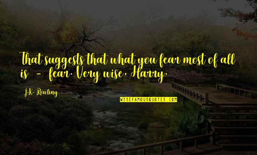 Could Have Been Better Quotes By J.K. Rowling: That suggests that what you fear most of