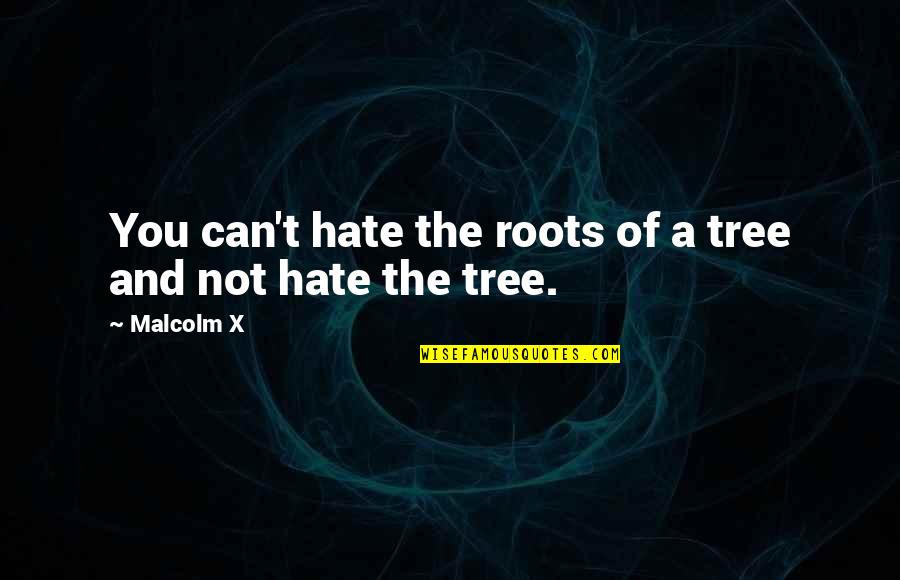 Could Have Should Have Would Have Quotes By Malcolm X: You can't hate the roots of a tree