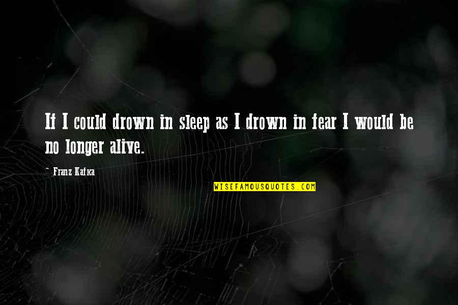 Could Not Sleep Quotes By Franz Kafka: If I could drown in sleep as I