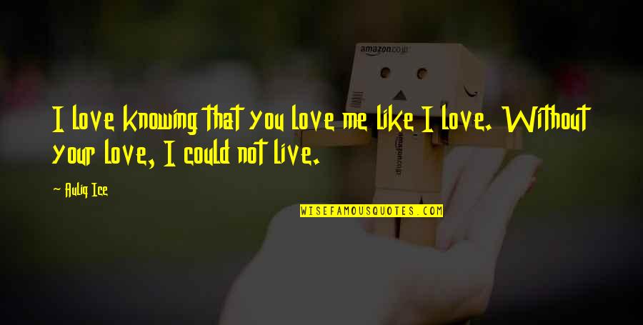 Could You Love Me Quotes By Auliq Ice: I love knowing that you love me like