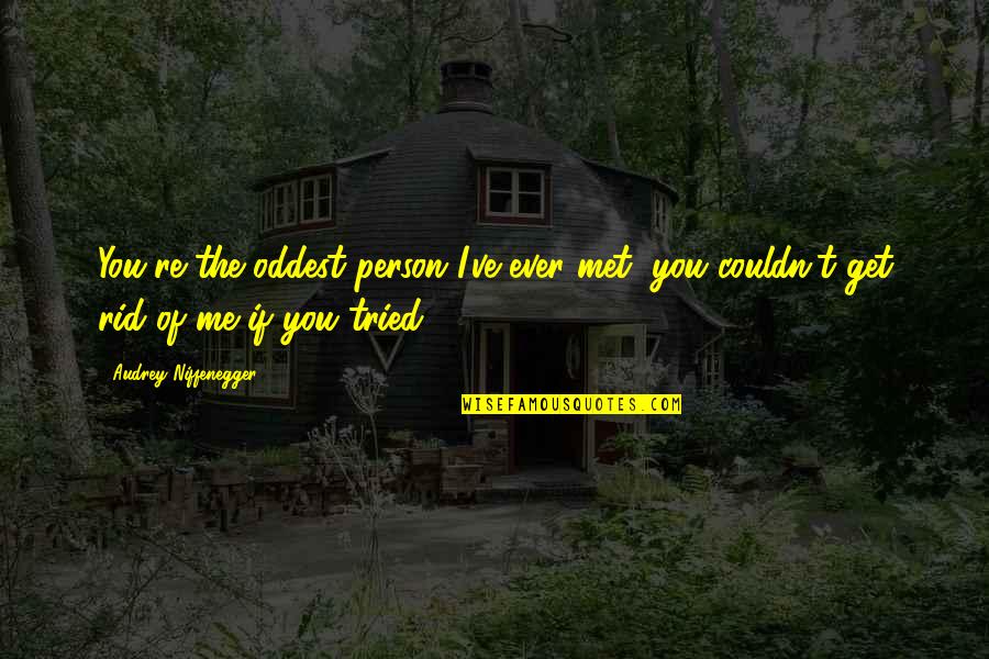 Couldn't've Quotes By Audrey Niffenegger: You're the oddest person I've ever met, you Couldn't've Quotes By Audrey Niffenegger: You're the oddest person I've ever met, you