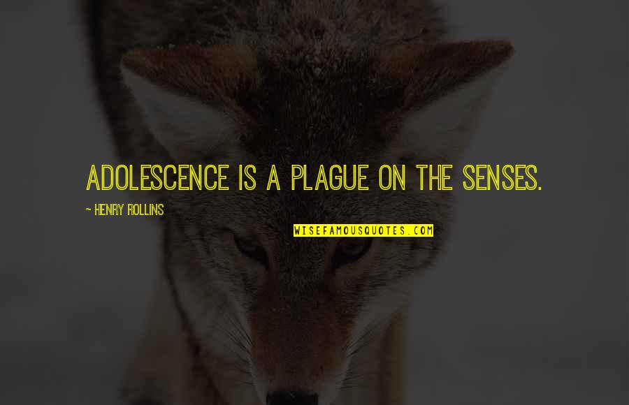 Council Housing Quotes By Henry Rollins: Adolescence is a plague on the senses.