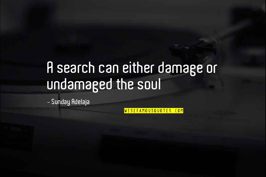 Counmter Quotes By Sunday Adelaja: A search can either damage or undamaged the