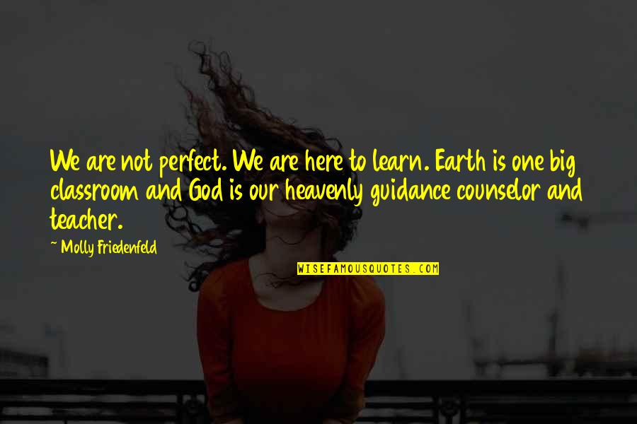 Counselor Quotes By Molly Friedenfeld: We are not perfect. We are here to