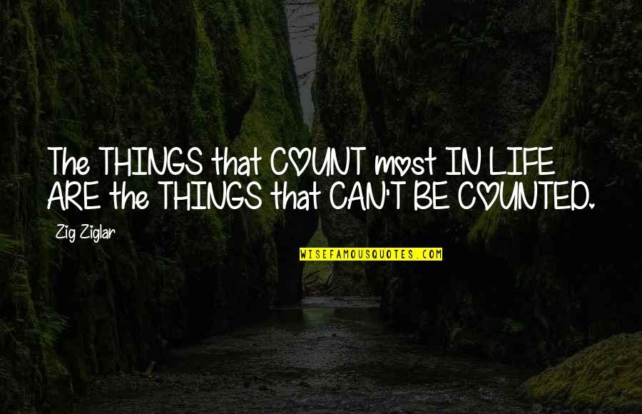 Count And Be Counted Quotes By Zig Ziglar: The THINGS that COUNT most IN LIFE ARE