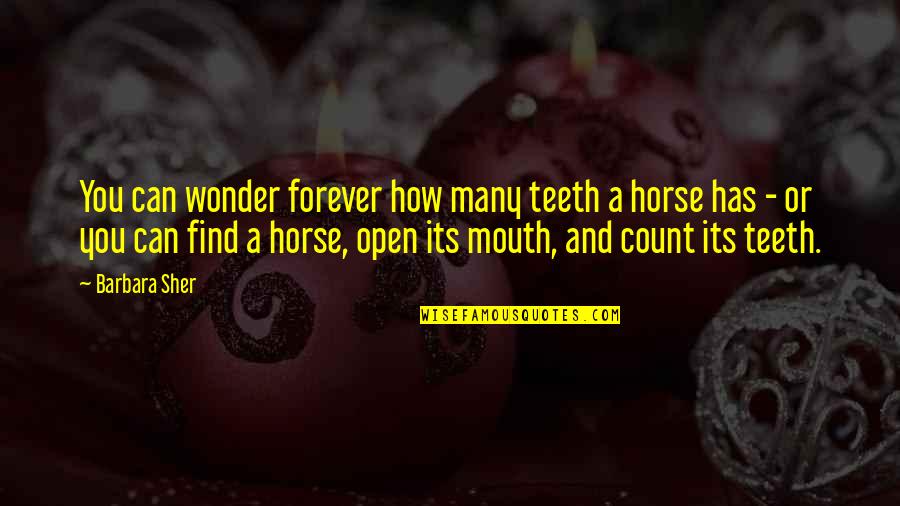 Count Your Teeth Quotes By Barbara Sher: You can wonder forever how many teeth a