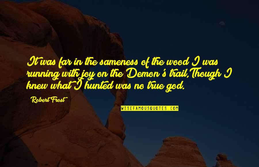 Counter Narcotics Quotes By Robert Frost: It was far in the sameness of the