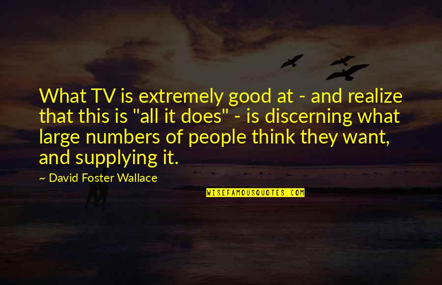 Counter Offer Quotes By David Foster Wallace: What TV is extremely good at - and