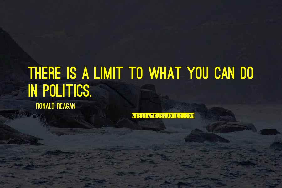 Counteracts Quotes By Ronald Reagan: There is a limit to what you can