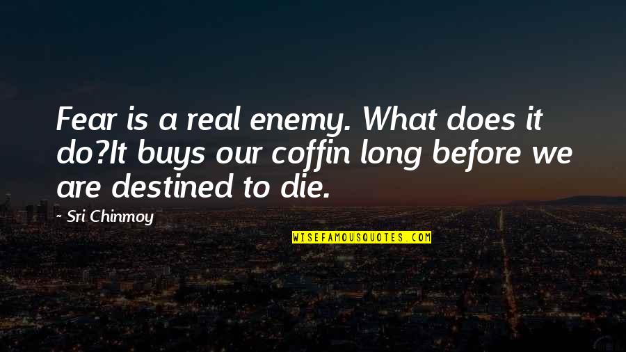 Counterproductive Quotes By Sri Chinmoy: Fear is a real enemy. What does it