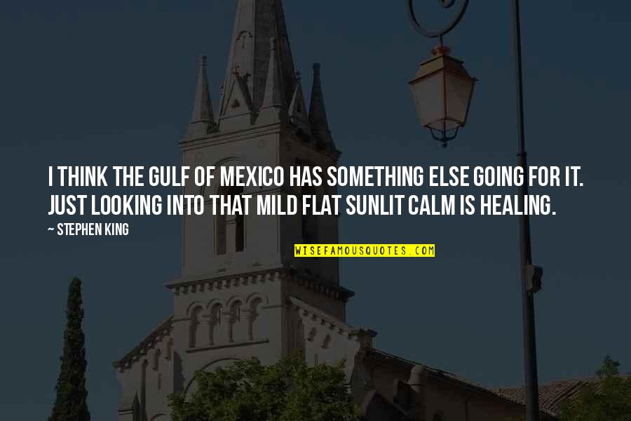 Countessa Quotes By Stephen King: I think the Gulf of Mexico has something Countessa Quotes By Stephen King: I think the Gulf of Mexico has something