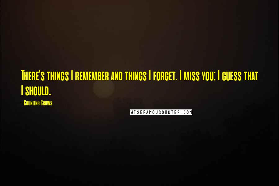 Counting Crows quotes: There's things I remember and things I forget. I miss you; I guess that I should.