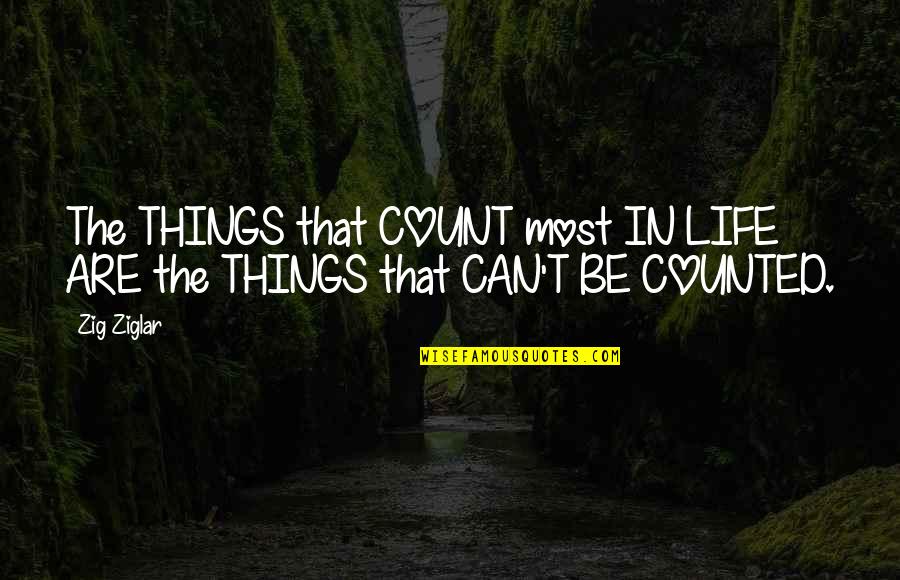 Count'nance Quotes By Zig Ziglar: The THINGS that COUNT most IN LIFE ARE