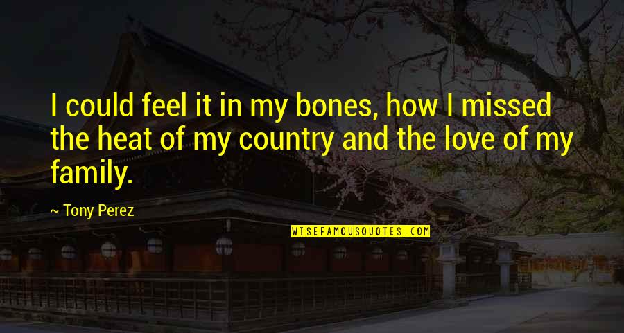 Country And Family Quotes By Tony Perez: I could feel it in my bones, how