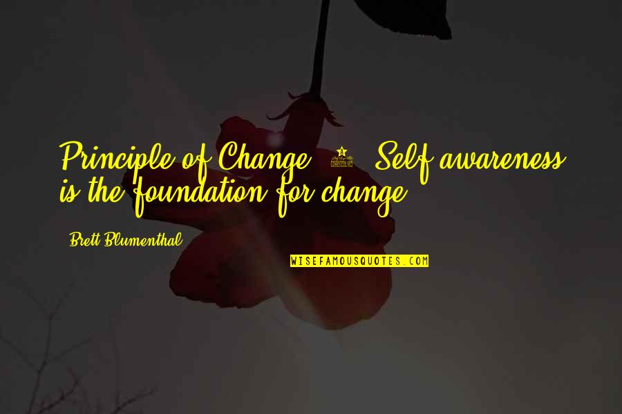 Country Ball Quotes By Brett Blumenthal: Principle of Change #2: Self-awareness is the foundation