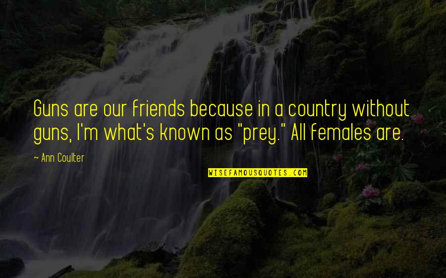 Country Best Friends Quotes By Ann Coulter: Guns are our friends because in a country