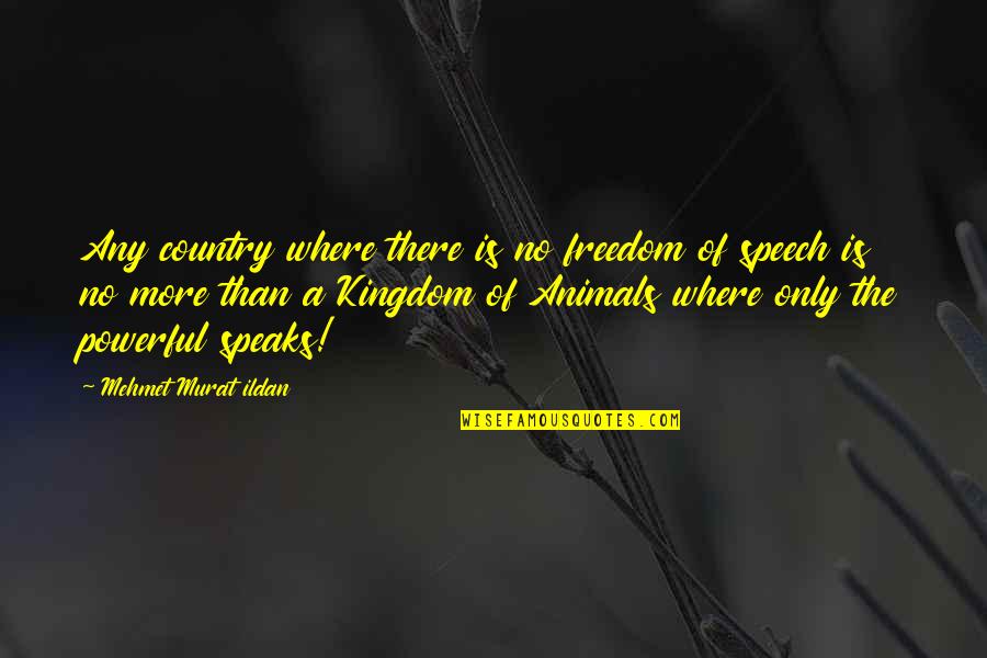 Country Freedom Quotes By Mehmet Murat Ildan: Any country where there is no freedom of