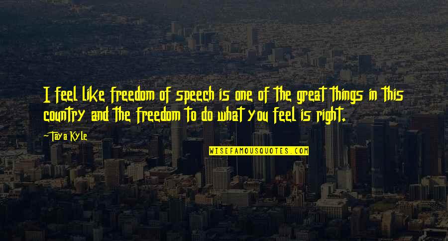 Country Freedom Quotes By Taya Kyle: I feel like freedom of speech is one