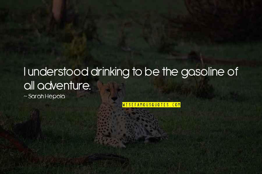 Country Lyrics About Life Quotes By Sarah Hepola: I understood drinking to be the gasoline of