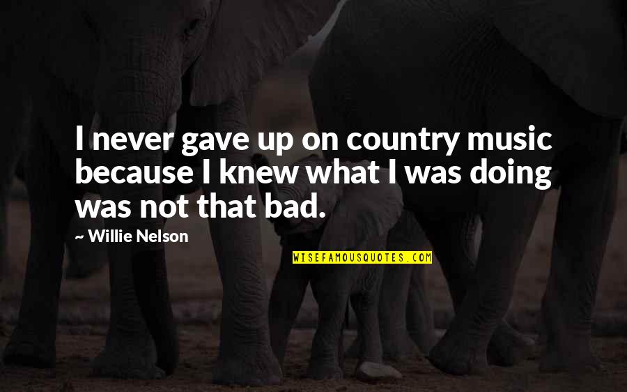 Country Music Quotes By Willie Nelson: I never gave up on country music because