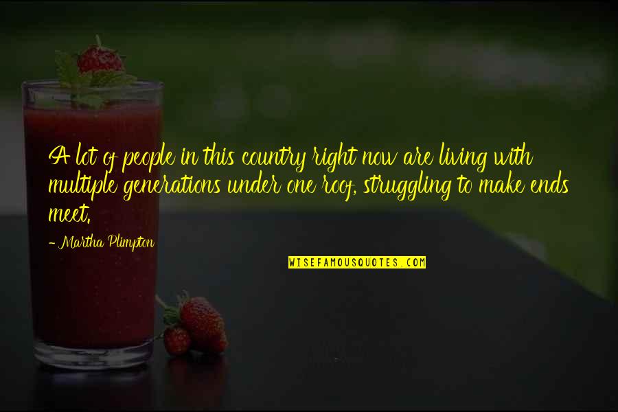 Country People Quotes By Martha Plimpton: A lot of people in this country right