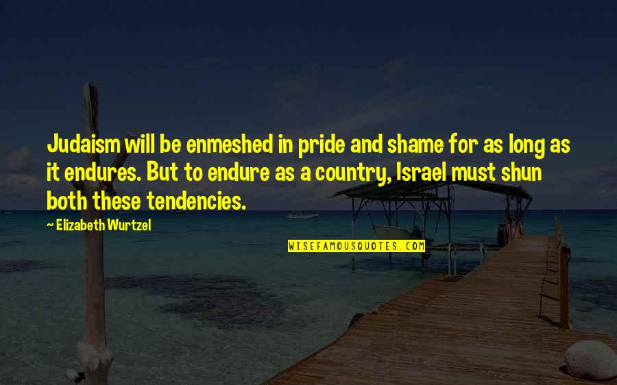 Country Pride Quotes By Elizabeth Wurtzel: Judaism will be enmeshed in pride and shame