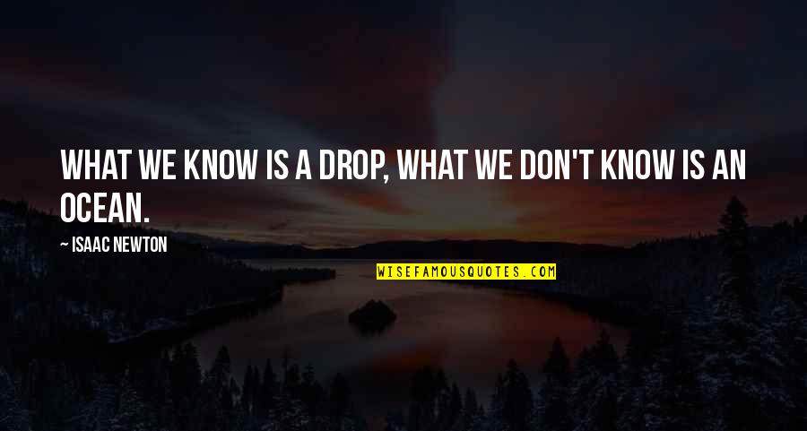 Country Song Sayings And Quotes By Isaac Newton: What we know is a drop, what we
